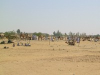 March aux dromadaires  Ad Dabbah