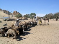 Puits de Merowa